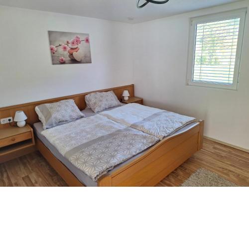 Apartment Rheintal im Alpenvorland