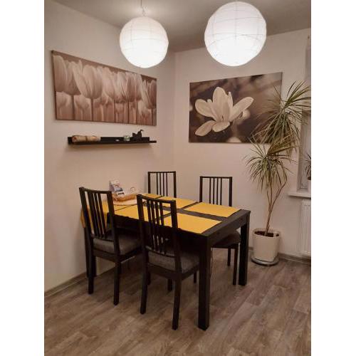 Apartment Riegerovka