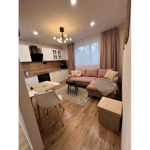 Apartment R&L Lazovná 2 - old town and parking