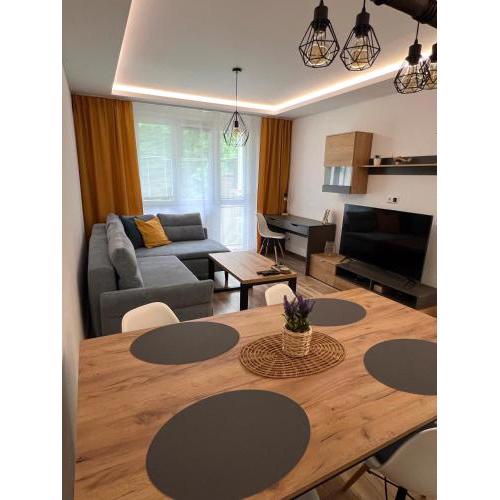 Apartment R&L Švermová - 2 min ESC, balcony