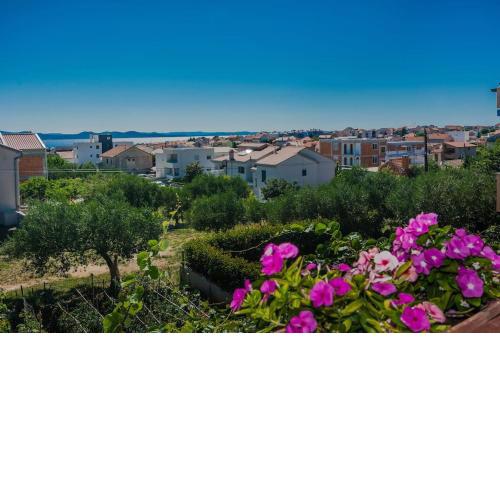 Apartment Roko - up to 4 people with free parking