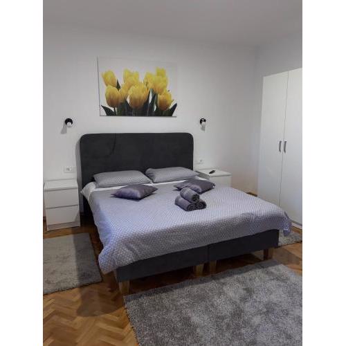 Apartment & Rooms - Marina
