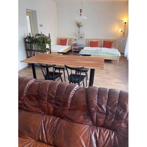 Apartment s terasou Lysá