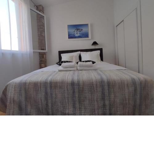 Apartment Sandrica