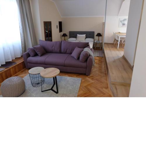 Apartment Saraga Centre 2