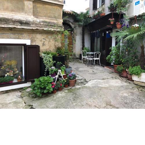 Apartment Saric