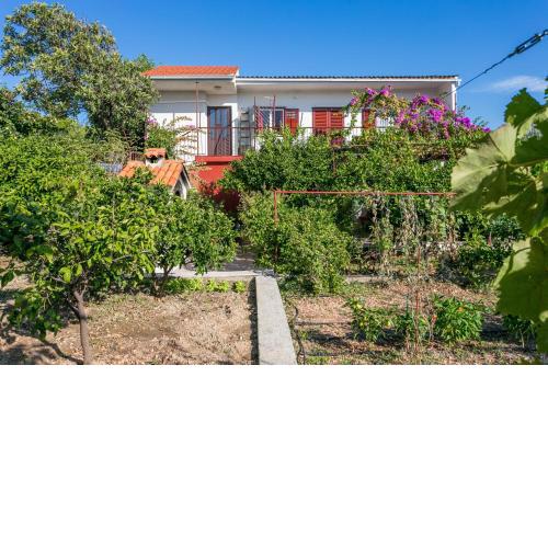 Apartment Seget Vranjica 1038b