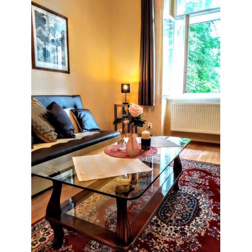 Apartment Sense of Zizkov