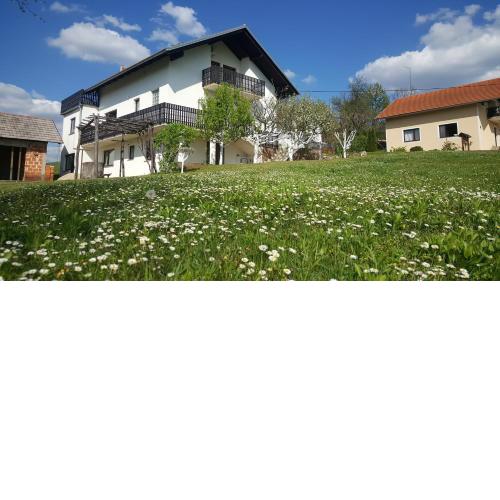Apartment Silvia