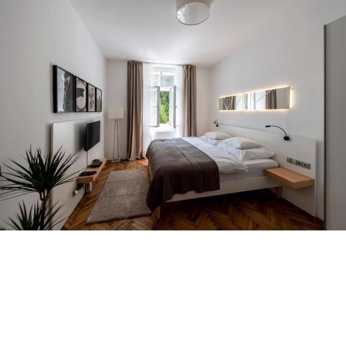 Apartment Slavikova 11
