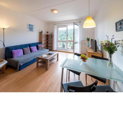 Apartment Sluneční stráň IV by Interhome