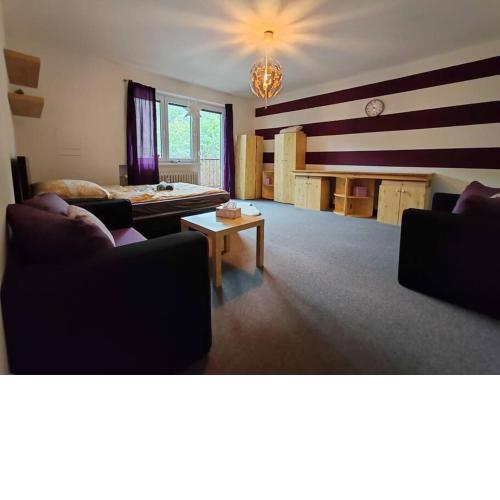 Apartment STAR Brno with terrace 5b