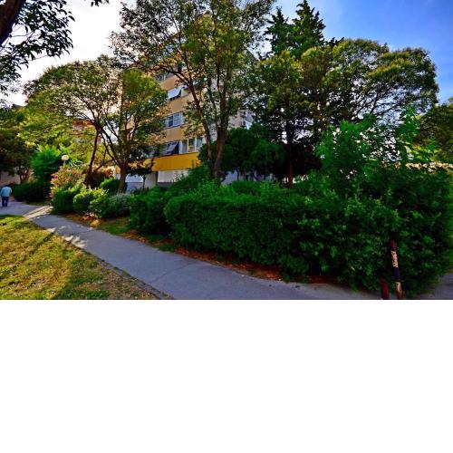 Apartment Sunny
