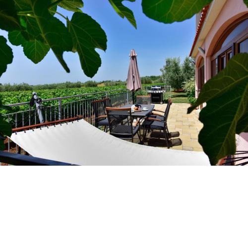 Apartment surrounded by a Vineyard