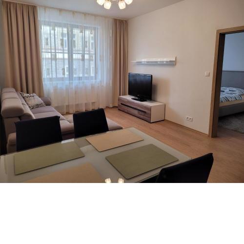 Apartment Svahova