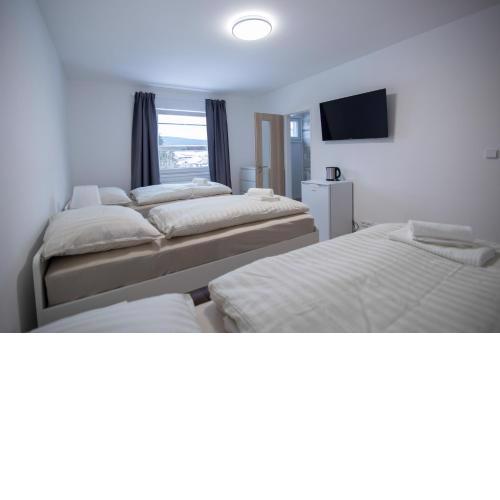 Apartment Tereza