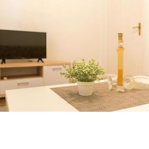 Apartment Tranquilo Garden - One Bedroom Apartment with Terrace and Garden View