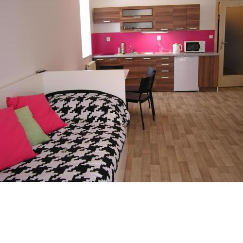 Apartment Třeboň