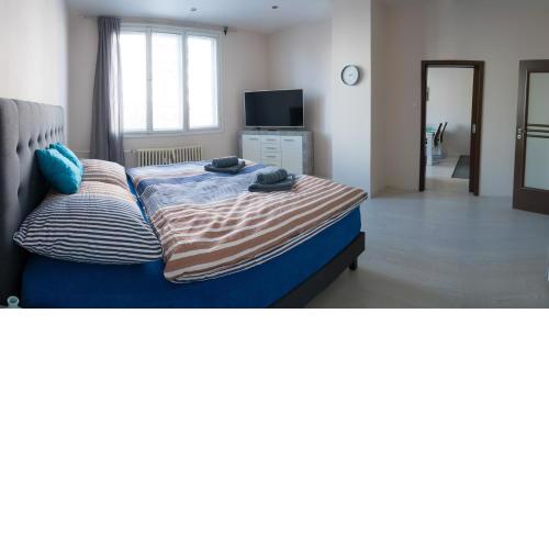 Apartment Třída Míru