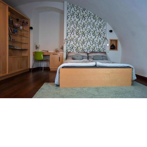 Apartment Trziste