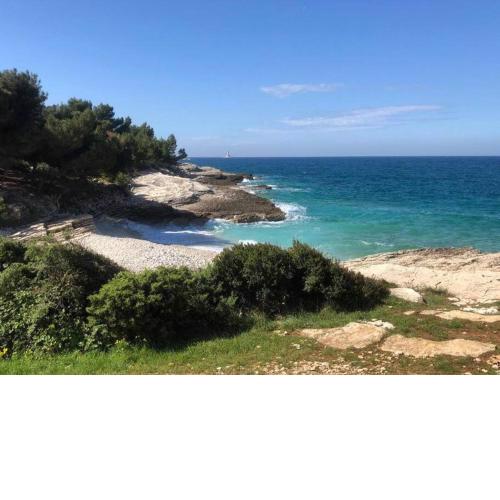 Apartment Two Olives, Free Parking, Close to Beaches & Park