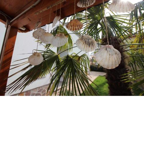 Apartment Umag