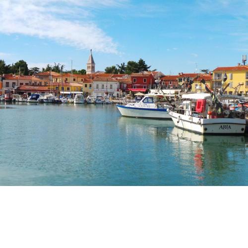 Apartment Valbandon, Istria 5