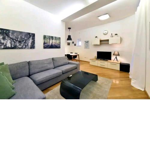Apartment Viktor