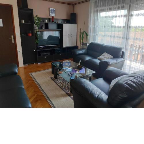 Apartment Viktorija