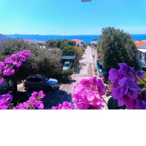Apartment Vila Nina
