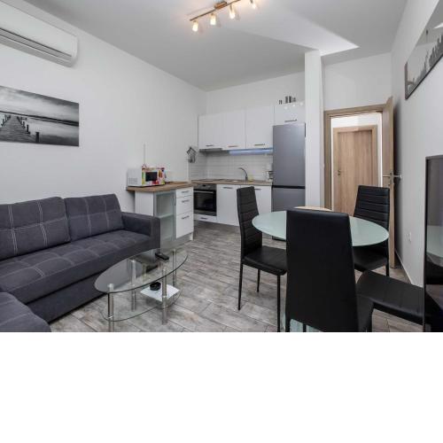 Apartment Villa Andelka with Swimming Pool