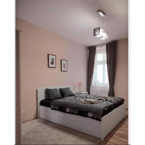 Apartment Vltavska A