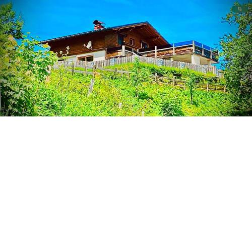 Apartment Wagrainblick