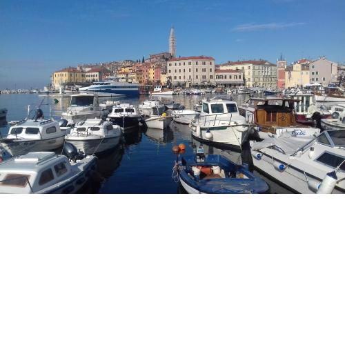 Apartment Ylenia