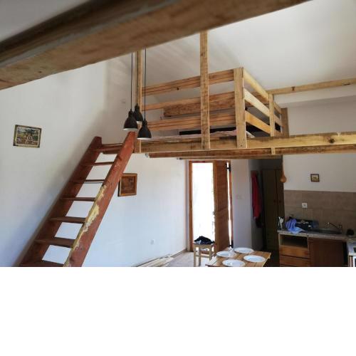 Apartment Zola