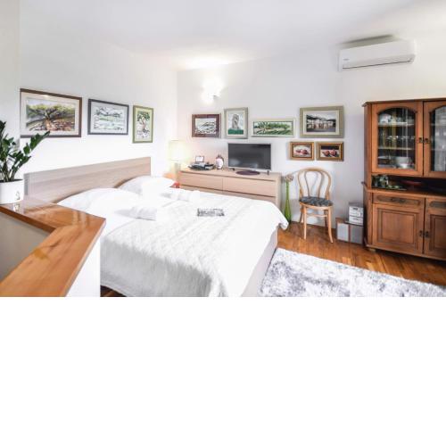 Apartment Zore