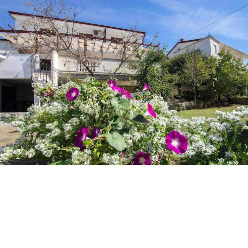 Apartment Zrinka in Starigrad Paklenica with terrace and seaview