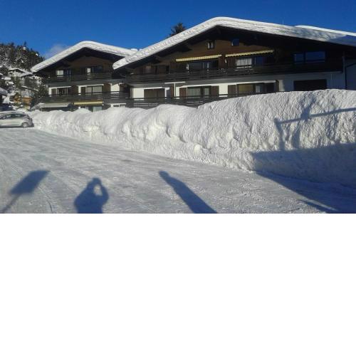 Apartmenthaus Panorama
