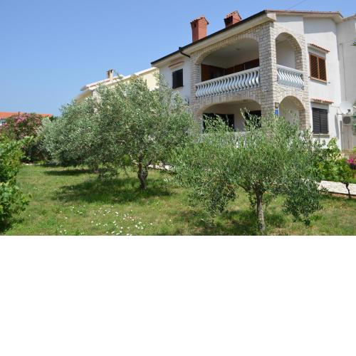 Apartments Ana