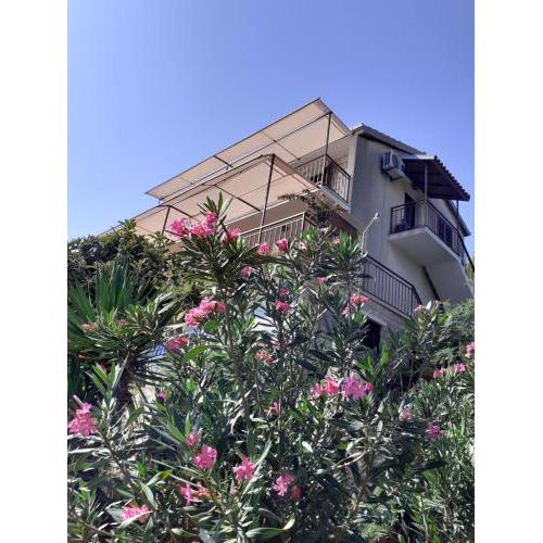 Apartments Ana