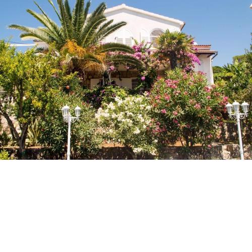 Apartments and rooms by the sea Molunat, Dubrovnik - 17143
