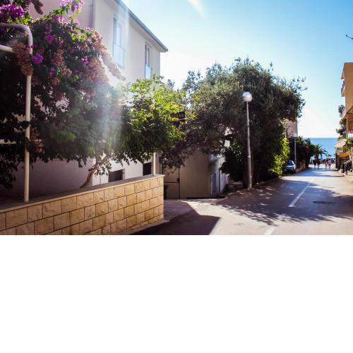 Apartments and rooms by the sea Podgora, Makarska - 11894