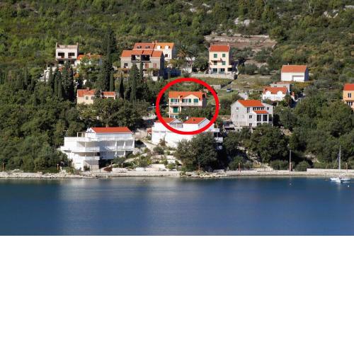 Apartments and rooms by the sea Slano, Dubrovnik - 2681