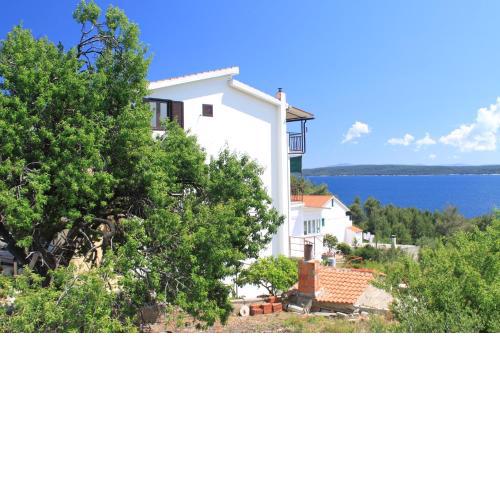 Apartments and rooms by the sea Zavala, Hvar - 8784