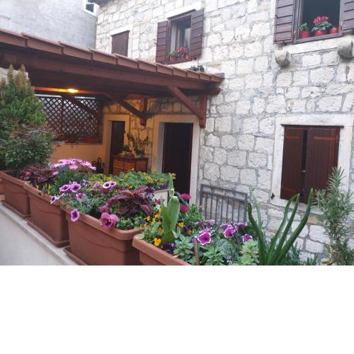 Apartments and Rooms Villa Lina