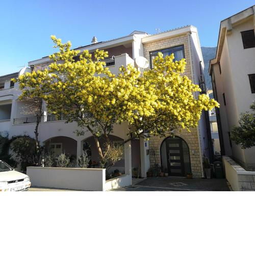 Apartments and rooms with parking space Makarska - 18106