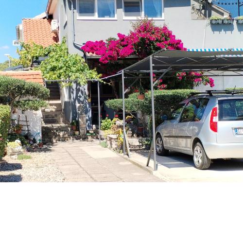 Apartments Ante