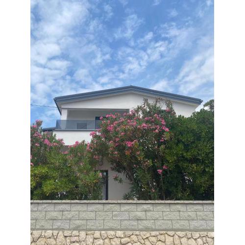 Apartments A&S