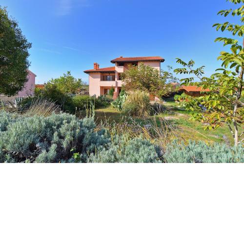 Apartments Bale 1945