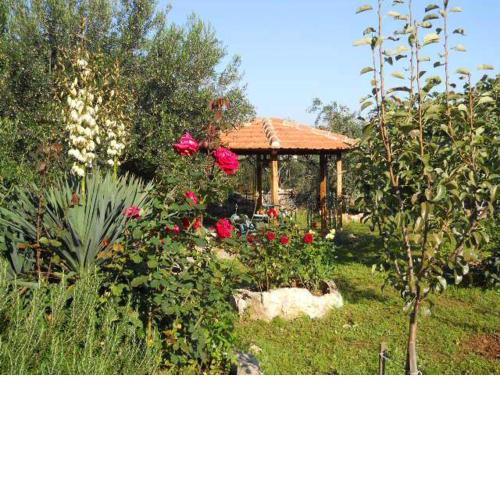 Apartments Branimir